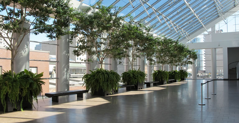 Indoor Air Quality